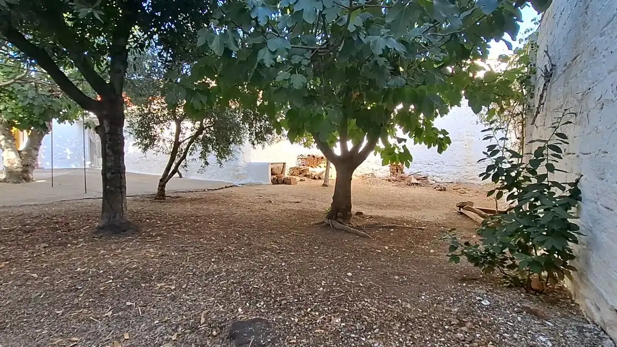 Haus mit Garten zum Verkauf in Avenida Juan Carlos I, imagen 19