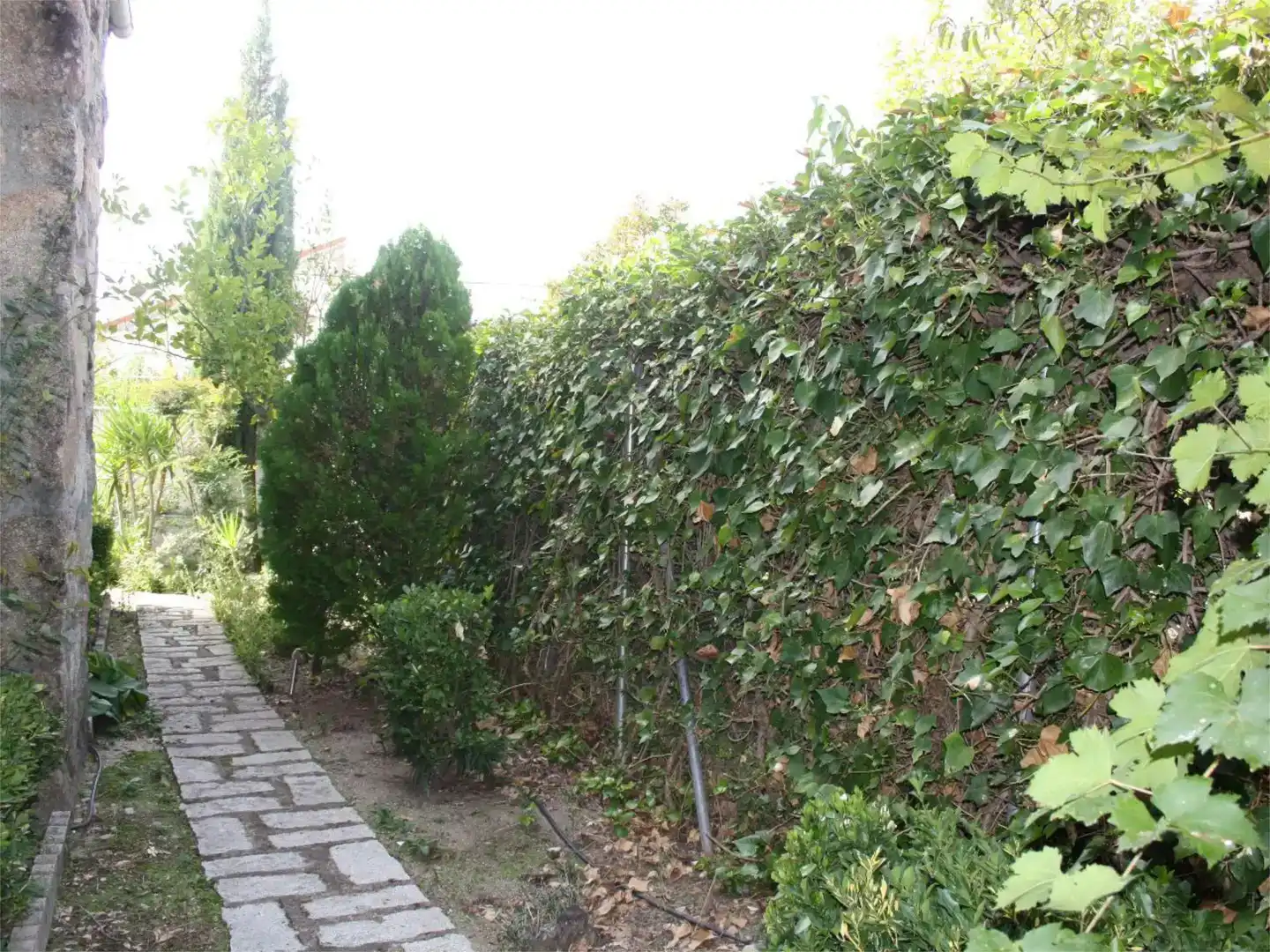 Jardí de Casa o xalet en venda en La Adrada  amb Aire condicionat, Piscina i Balcó
