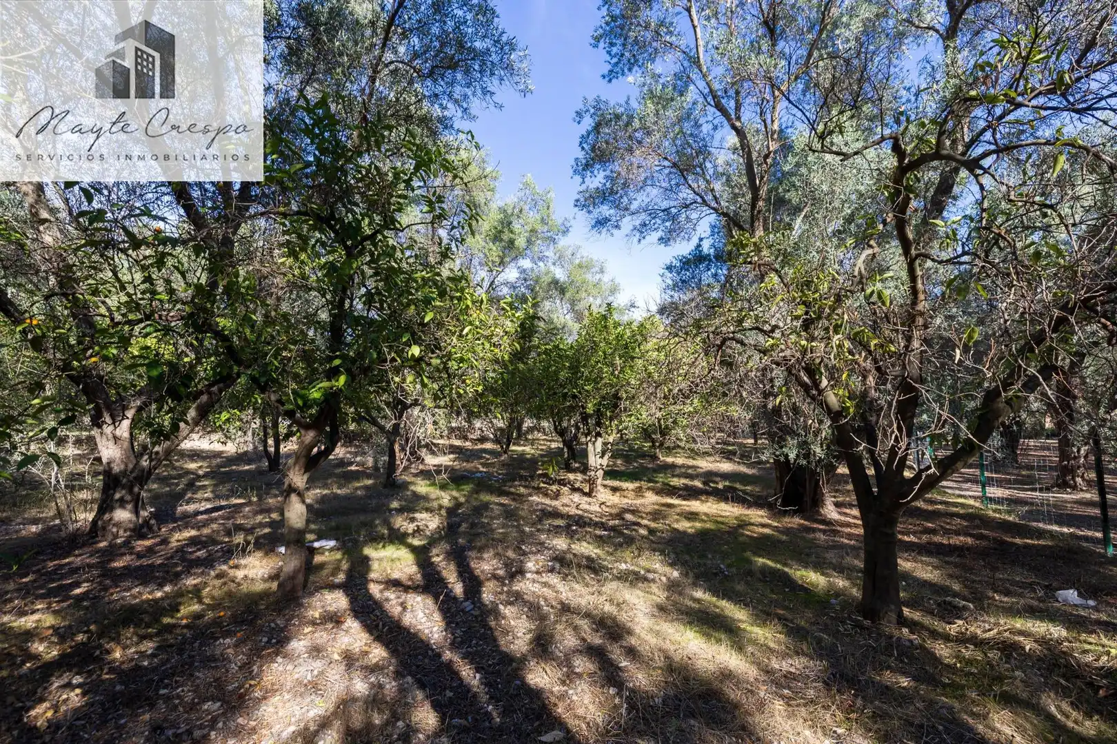 Terreno rustico in vendita a Lecrín, imagen 12