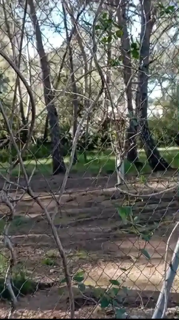 Terreno rustico in vendita a El Vedat - Santa Apolonia, imagen 2