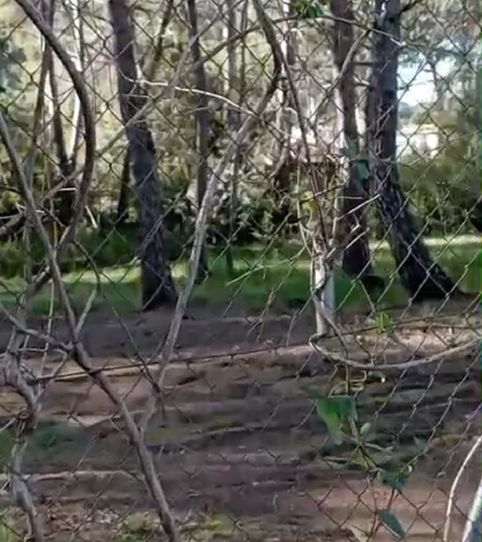 Foto 2 de Terreno en venta en El Vedat - Santa Apolonia, Torrent