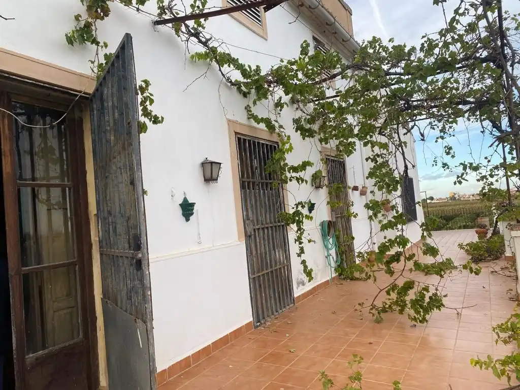 Vista exterior de Finca rústica en venta en Benifaió con Jardín privado, Terraza y Trastero