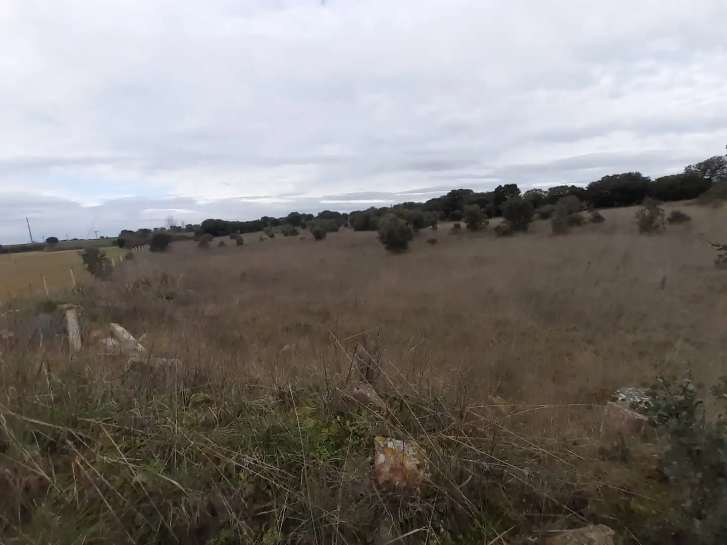 Terreni e lotti in vendita a El Perdigón, imagen 3