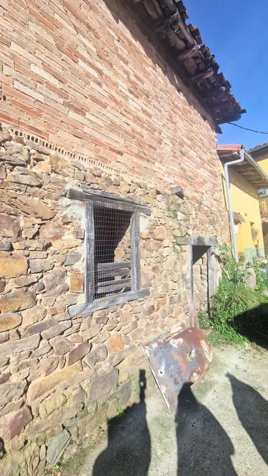Vista exterior de Finca rústica en venta en Riosa