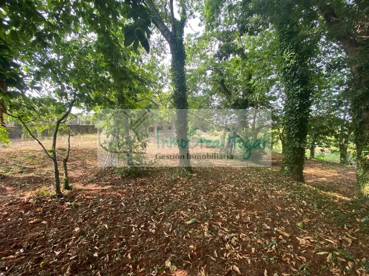 Casa con jardín en venta en Tomiño, imagen 39