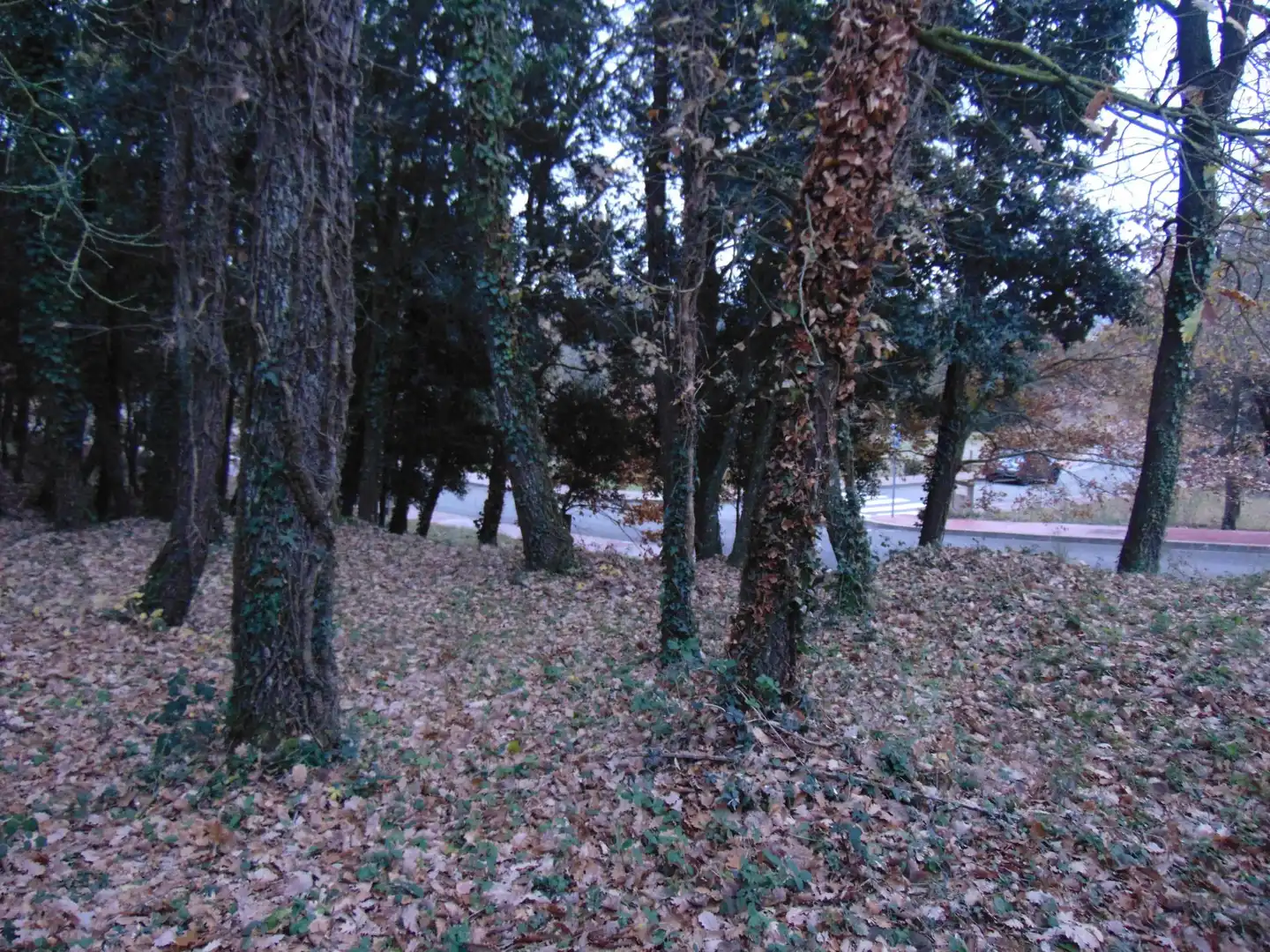 Residential land for sale in del Castell de la Popa 23, imagen 7
