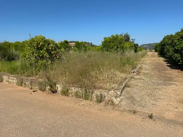 Rural land for sale in Vilallonga / Villalonga, imagen 7