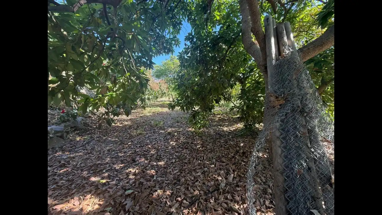 Grundstücke und Bauplätze zum Verkauf in Rambla Caballero, imagen 29