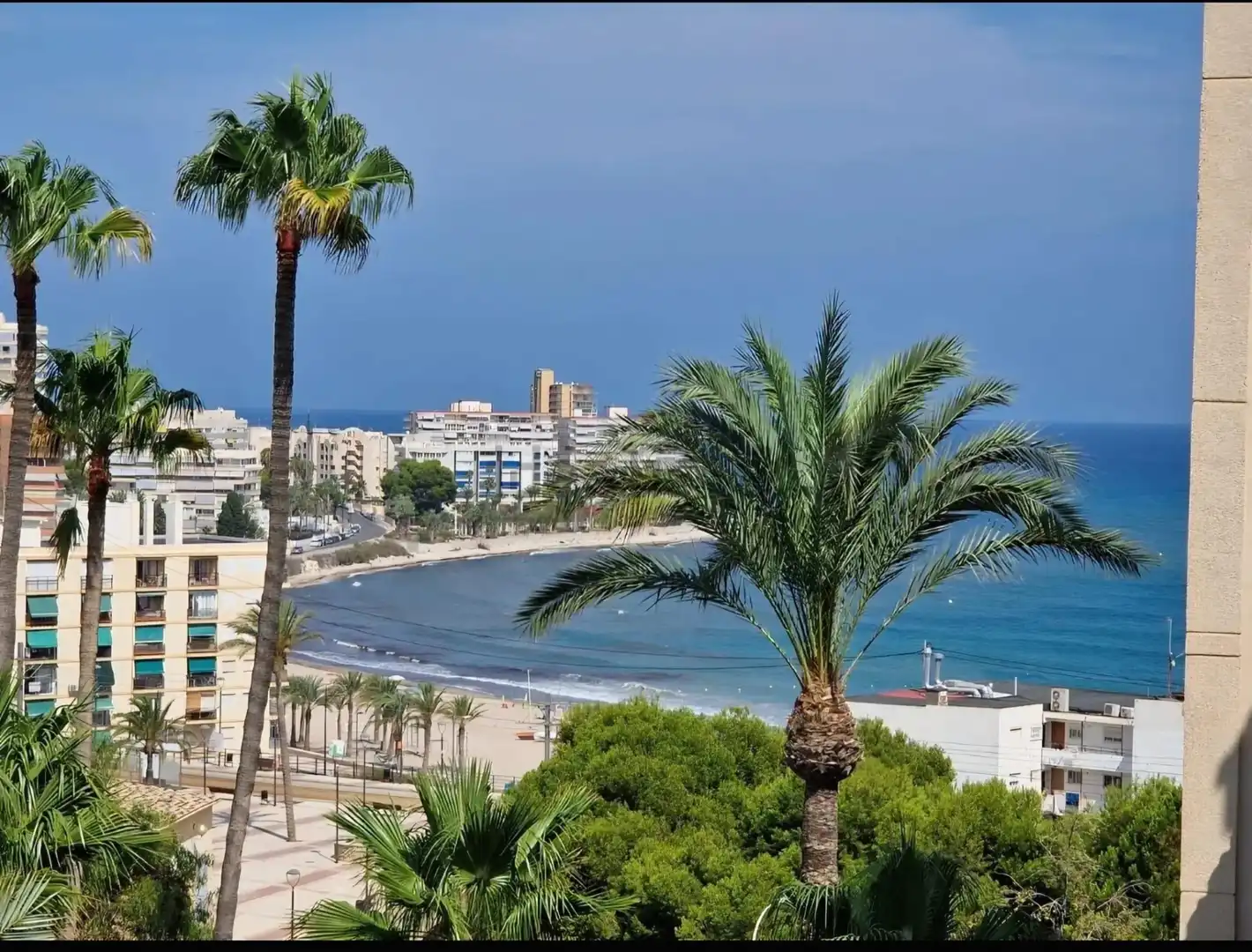 Vista exterior de Casa adosada en venda en El Campello amb Aire condicionat, Jardí privat i Terrassa