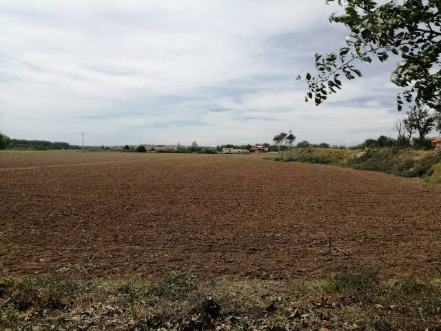 Terreno en Venta en Mengabril