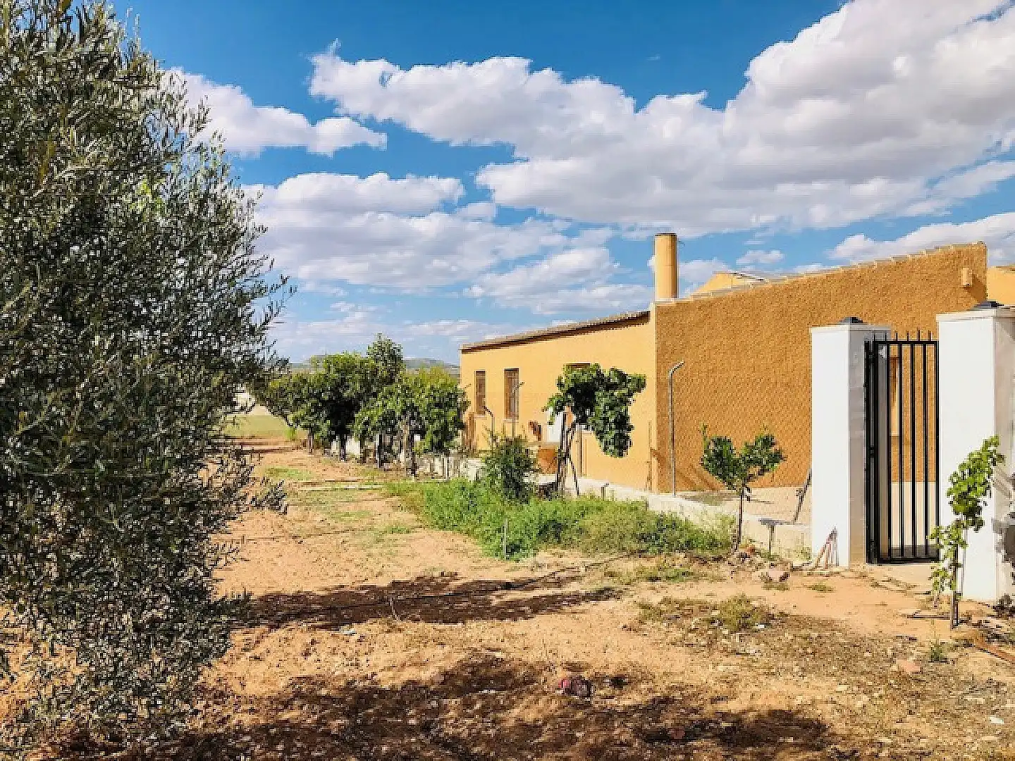 Casa rústica en venda a Yecla, imagen 41
