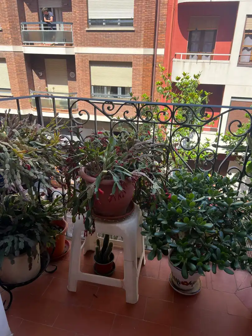 Pis amb terrassa en venda a Centro, imagen 23