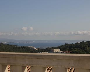 Vista exterior de Casa o xalet en venda en  Palma de Mallorca amb Terrassa