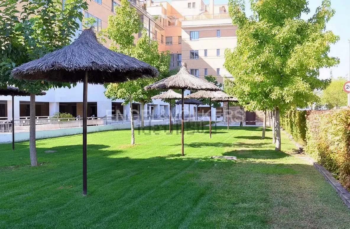 Garden of Ground floor for rent in Madrid  with Air Conditioner, Heating and Private garden