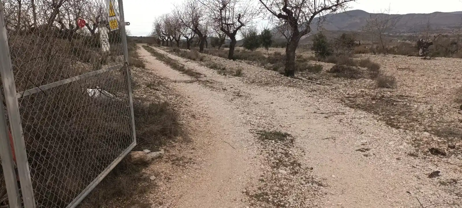 Terreno rustico in vendita a Calle Hondon de las Nieves, imagen 11