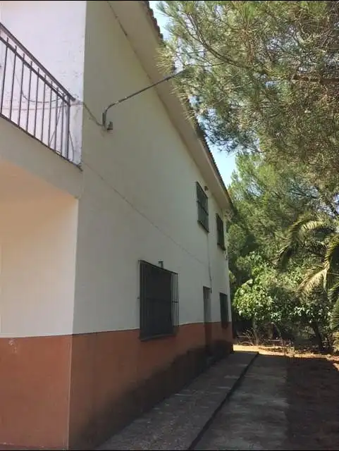 Maison avec terrasse à vendre à Campus Universitario, imagen 5