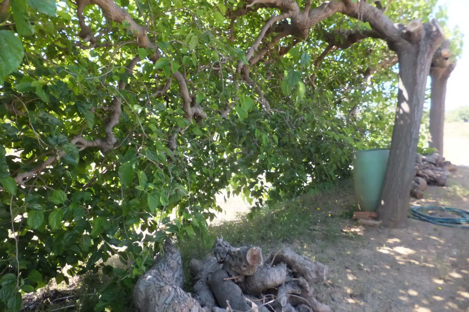 Terreno rústico en venta en Botarell, imagen 43