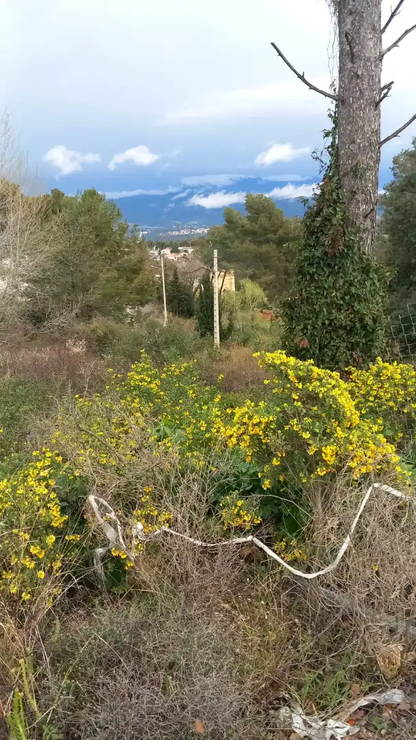 Residential land for sale in Carrer de Domenec Roure Babra 466, imagen 4