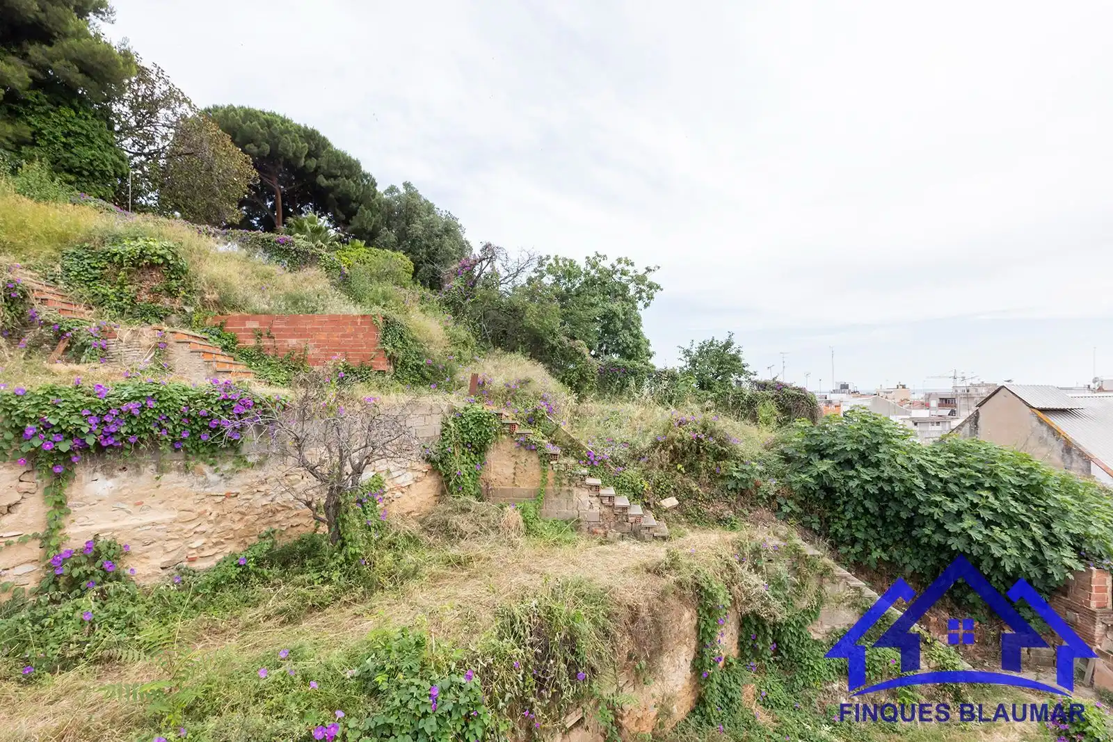 Finca rústica en venda en Arenys de Mar amb Calefacció, Jardí privat i Terrassa