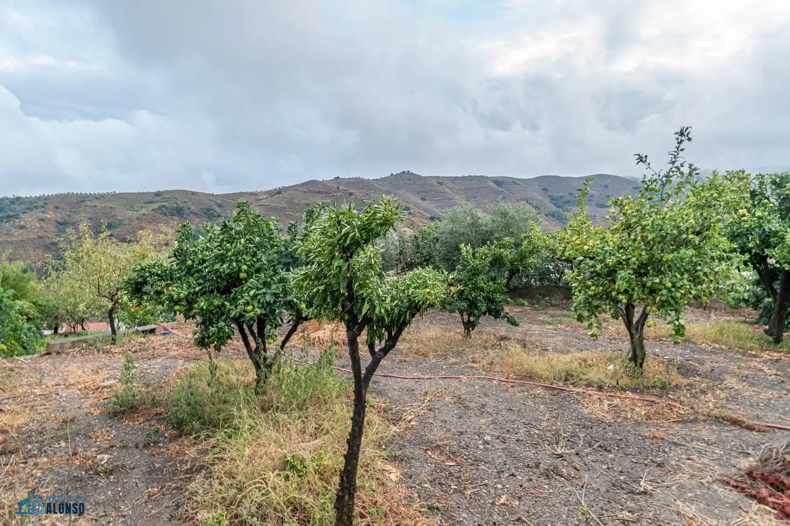 Finca rústica en venda en Sorvilán