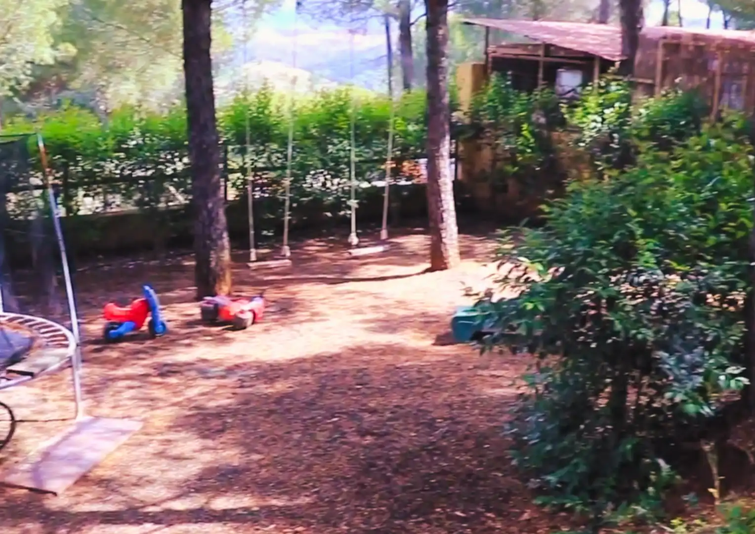 Garden of Buildings for sale in Calañas  with Community pool