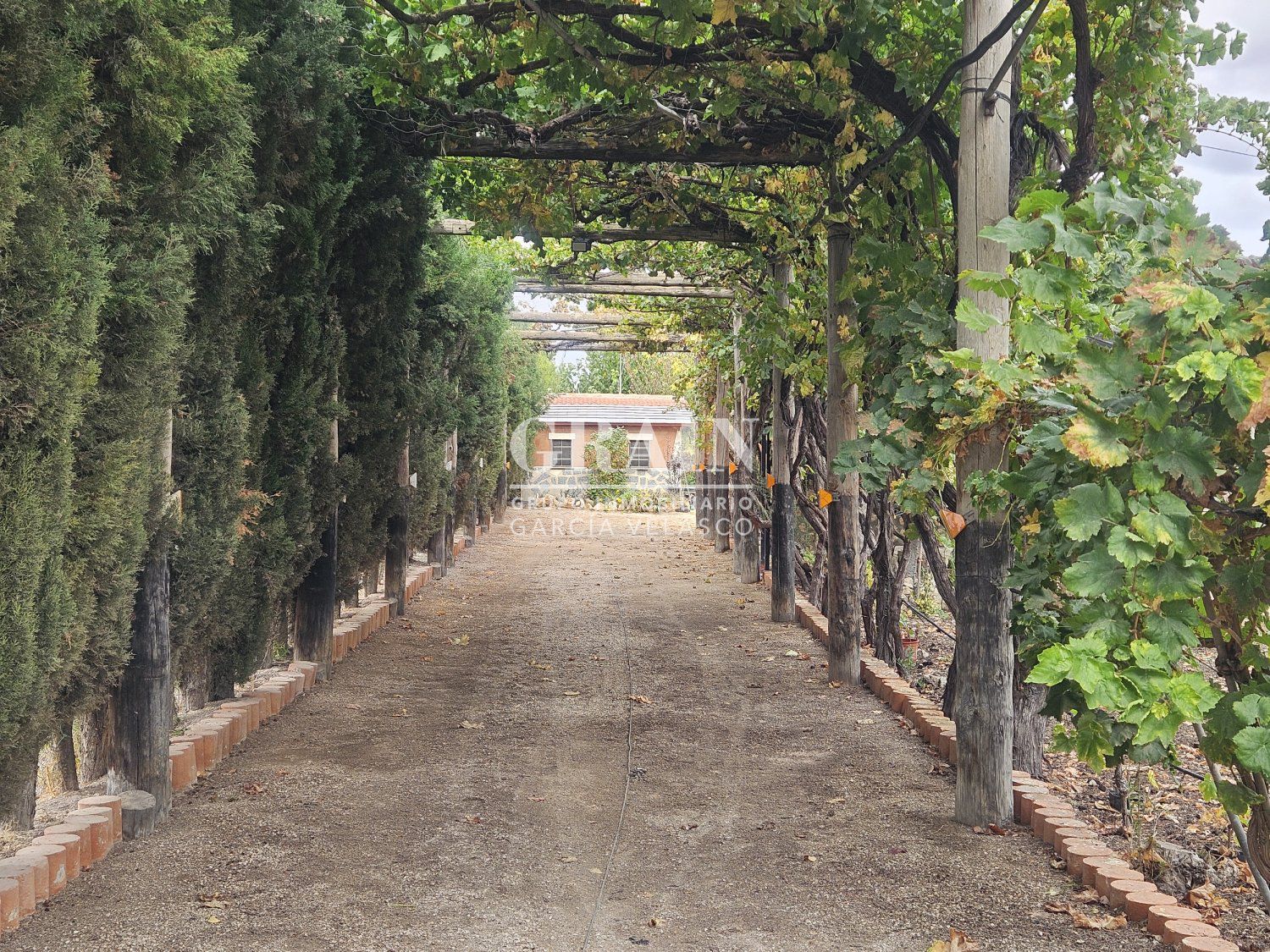 Jardín de Casa o chalet en venta en  Albacete Capital con Jardín privado y Trastero