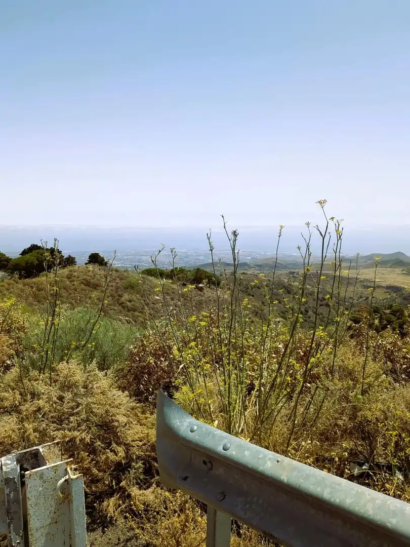 Country homes for sale in CAZADORES, Valle de los Nueve - El Ejido - Medianías