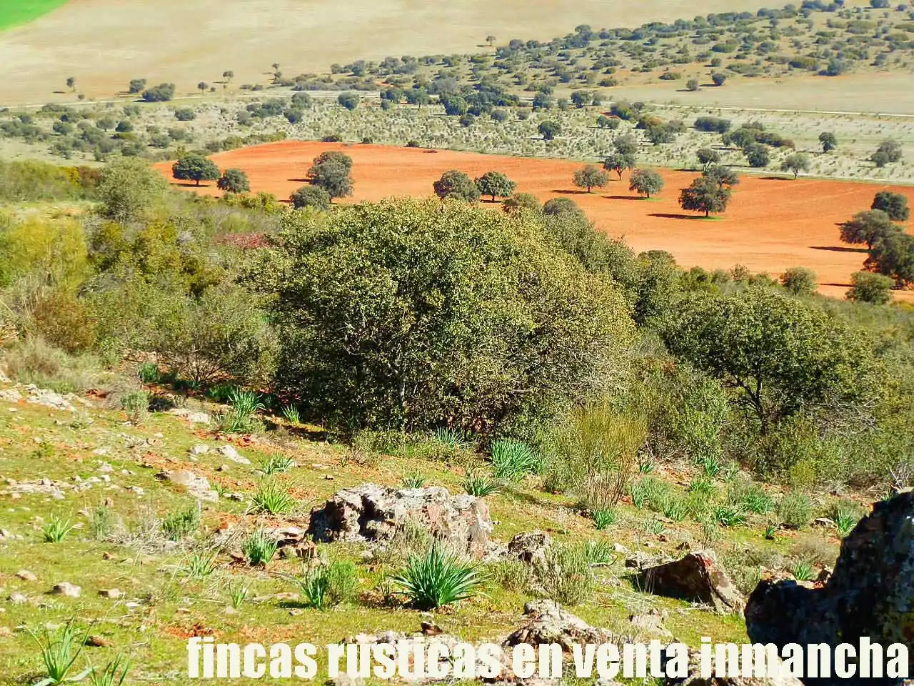 Terreno rustico in vendita a Aldea del Rey, imagen 8