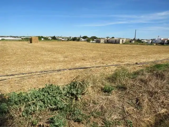 Rural land for sale in Barrio Nuevo, imagen 11