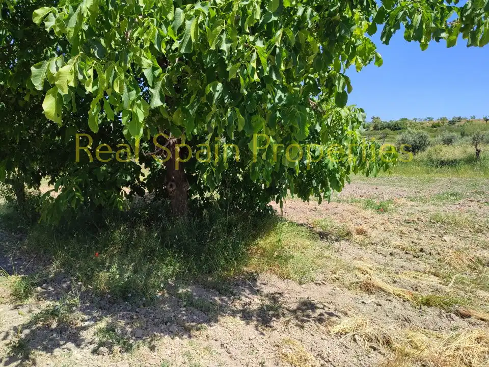 Wohnbaugrundstück zum Verkauf in Vélez-Rubio, imagen 11