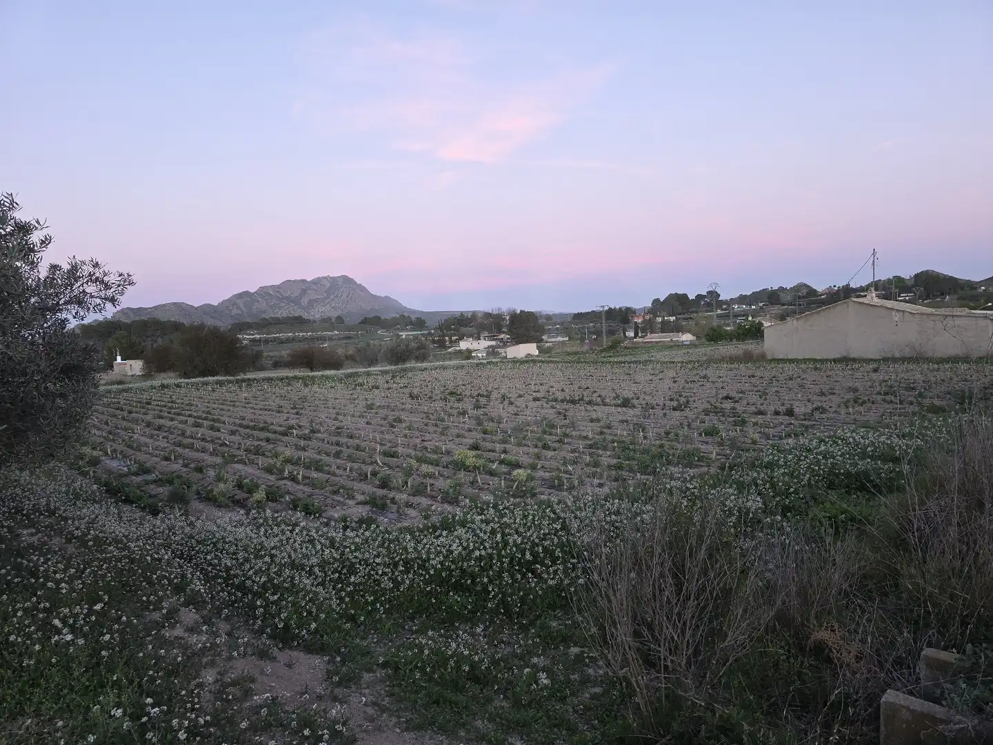 Terreny rústic en venda a Calasparra, imagen 5