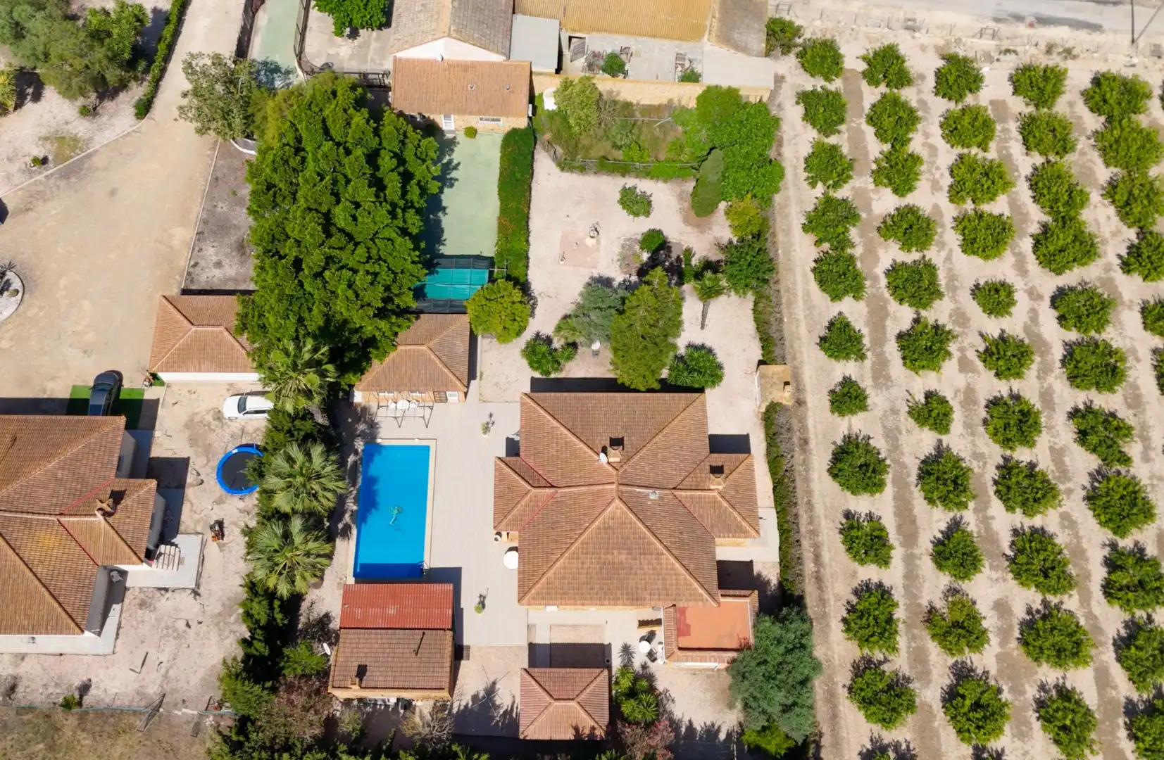 Vista exterior de Finca rústica en venda en Daya Vieja amb Terrassa i Piscina