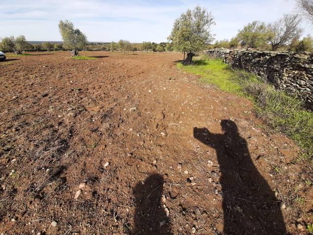 Terreno en Venta en Botija