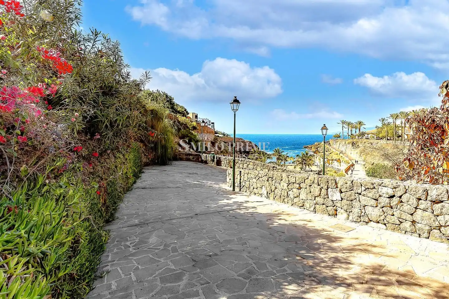 Vista exterior de Estudio en venta en Adeje con Terraza, Amueblado y Piscina comunitaria
