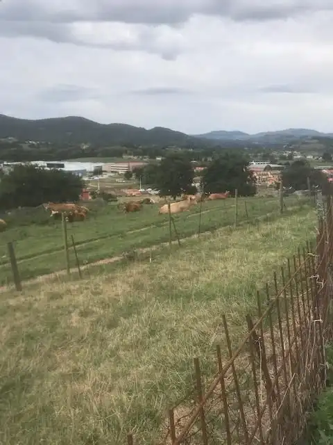 Terreno rustico in vendita a El Astillero, imagen 4