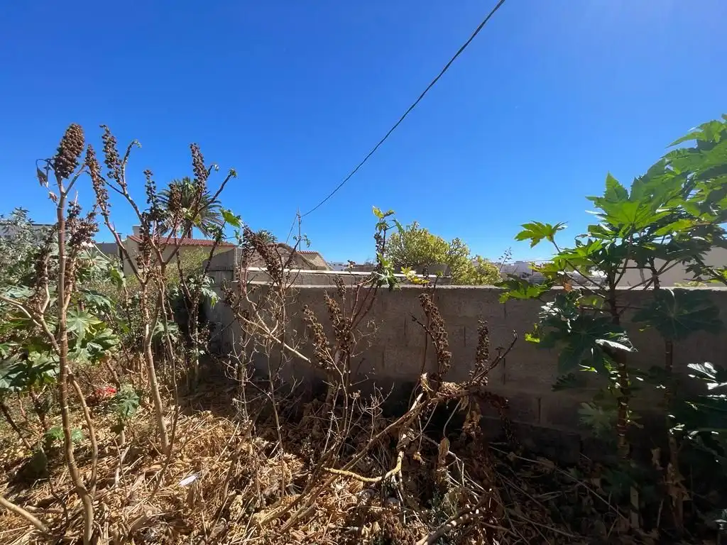 Lands and plots for sale in Trillo, imagen 9