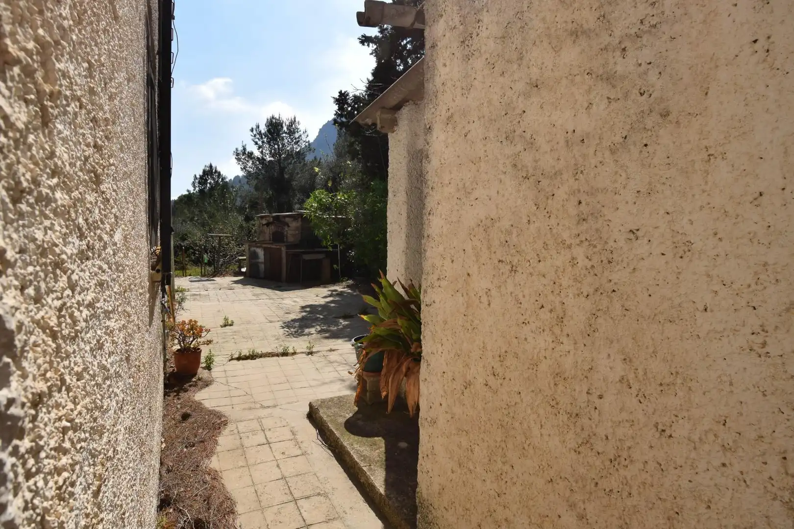 Jardí de Casa o xalet en venda en Alfara de Carles amb Terrassa, Traster i Piscina