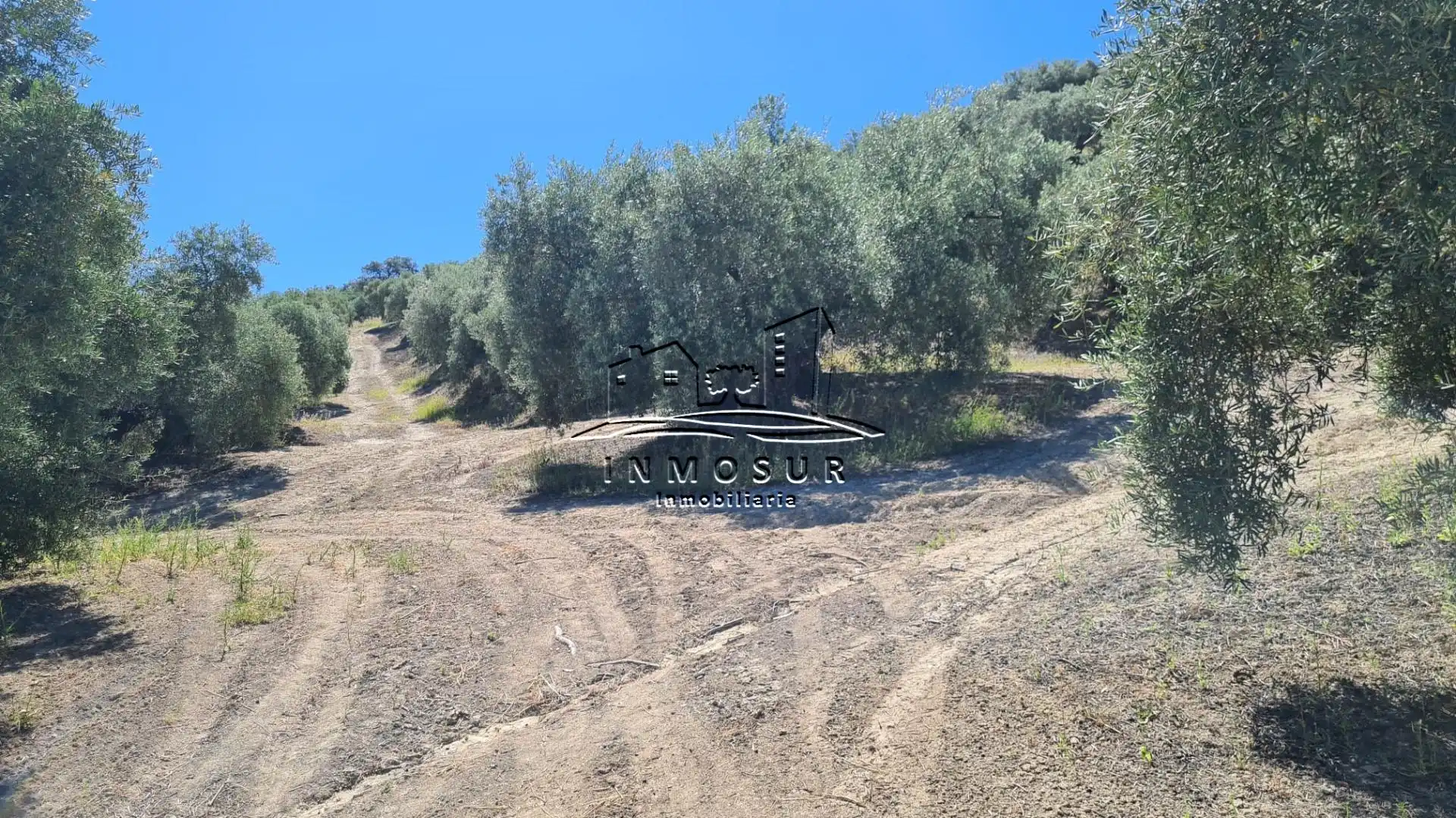 Terrain rustique à vendre à San Francisco, imagen 11