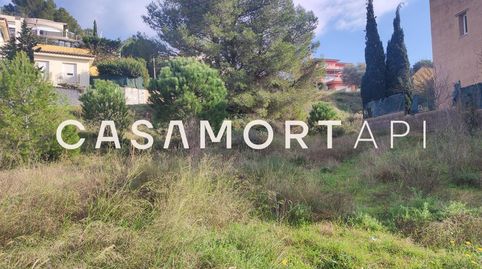 Parcela Edificable al Camp dels Pilans, imatge 4
