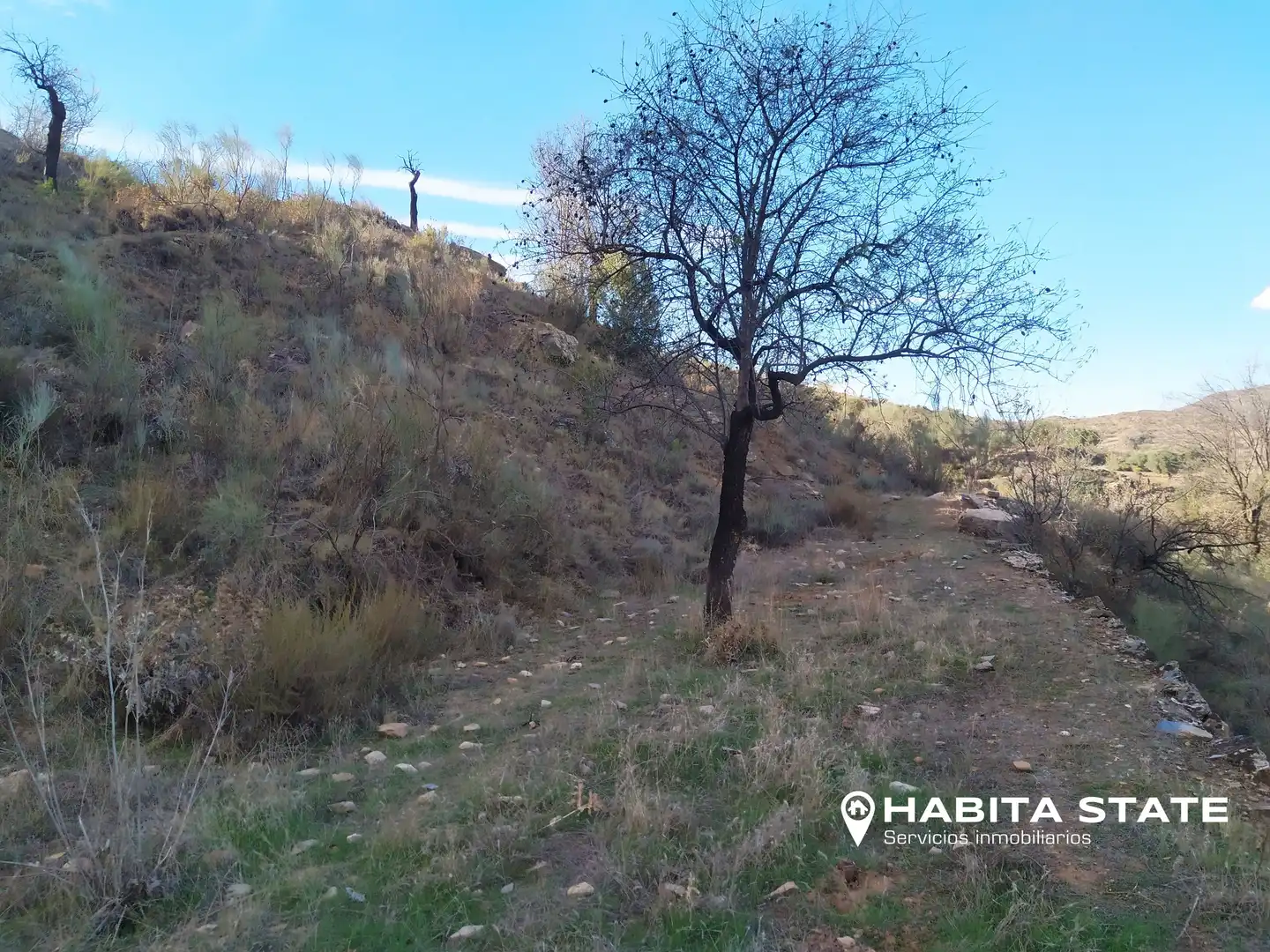 Land for sale in Benizalón