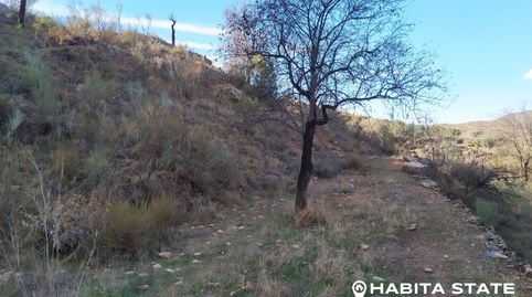 SE VENDE FINCA EN BENIZALÓN, imatge 3