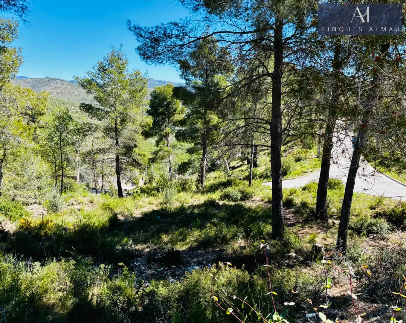 Wohnbaugrundstück zum Verkauf in Avenida de la Sardana, imagen 6