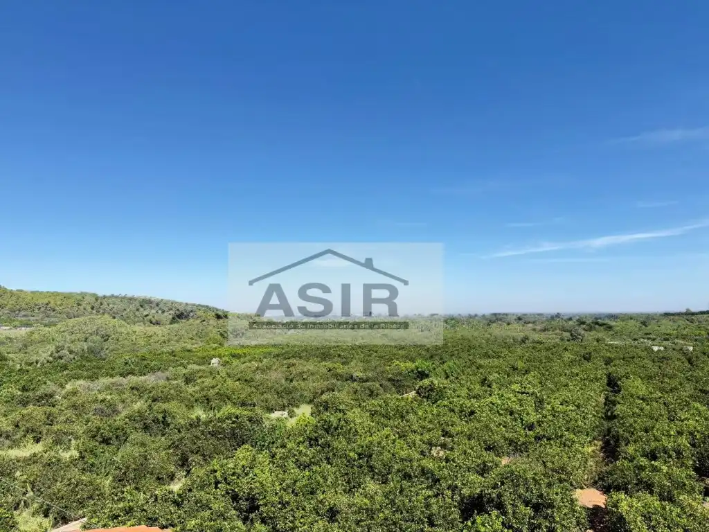 Villa avec piscine à vendre à Poligono 12 Paraje 191 La Murta, imagen 66