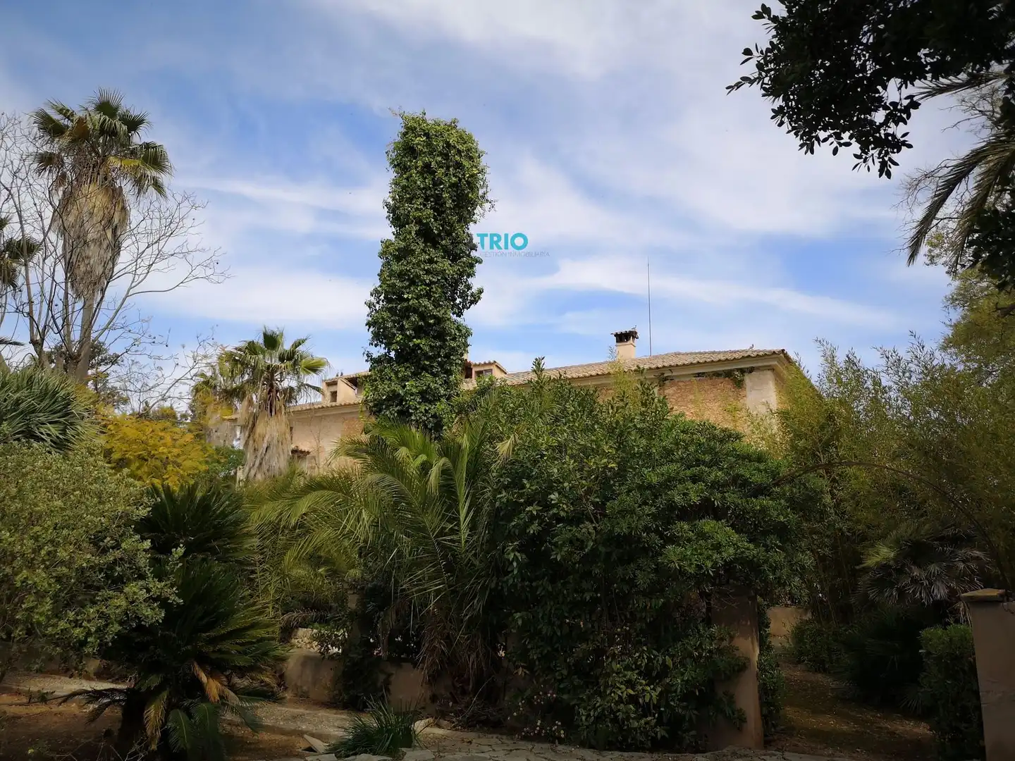 Casa amb terrassa en venda a Nord, imagen 60