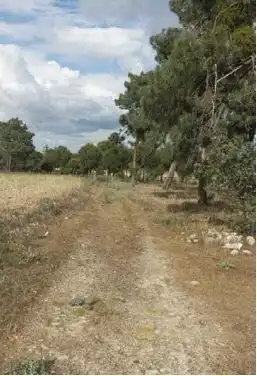 Terreni e lotti in vendita a Villanueva de Gómez, imagen 5