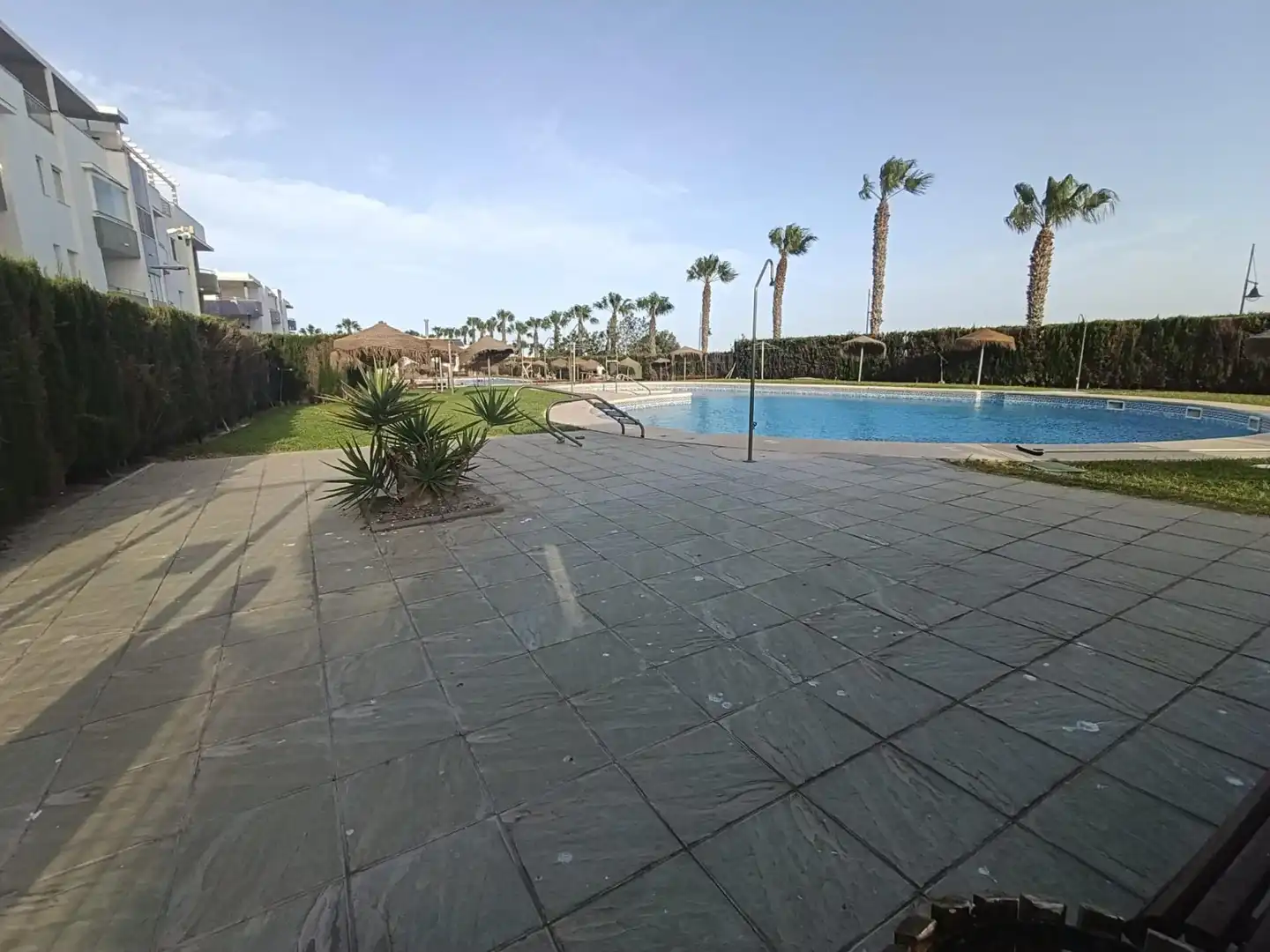 Piscina de Pis de lloguer en El Ejido amb Aire condicionat, Moblat i Balcó