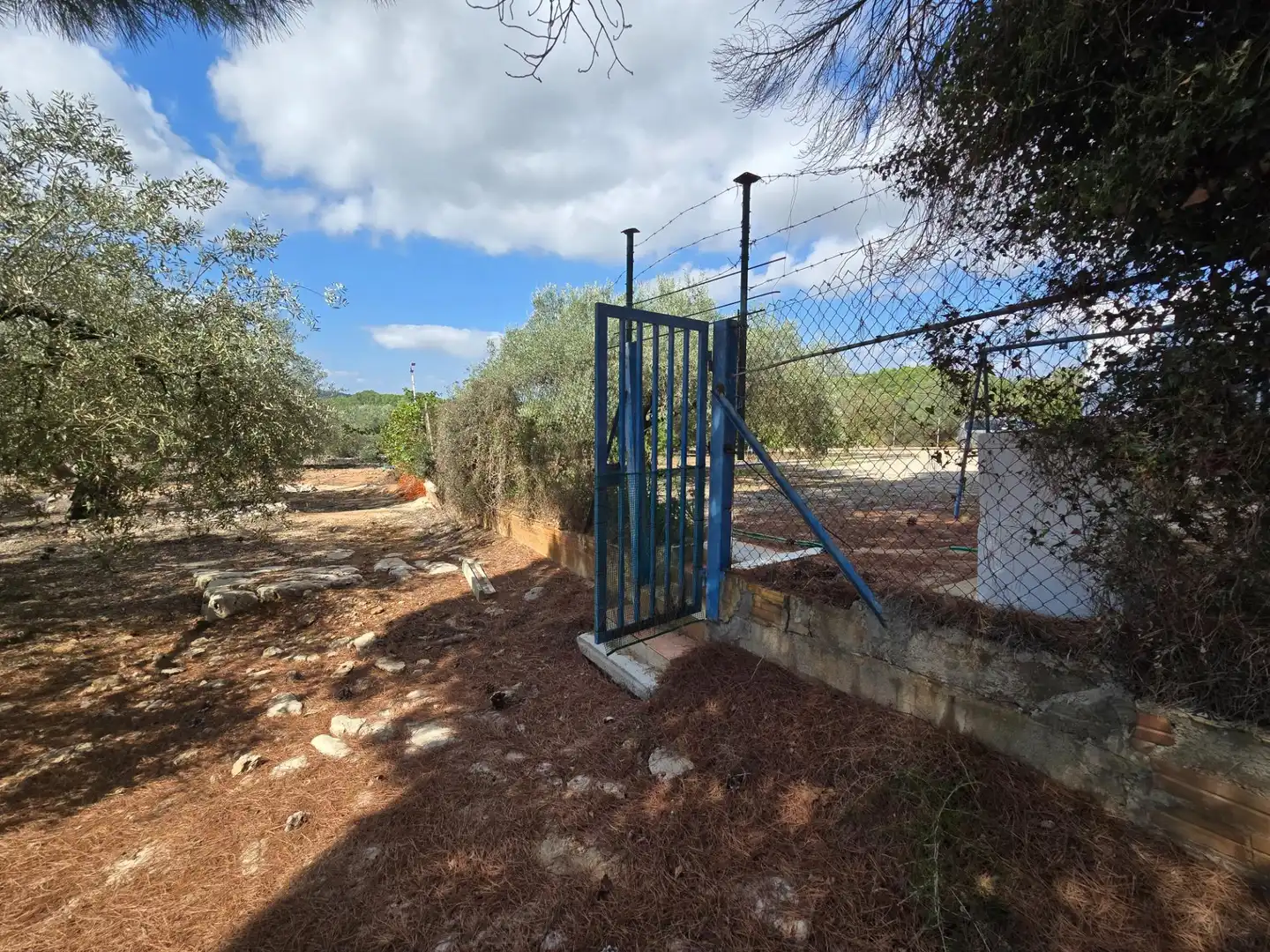 Finca rústica en venta en Freginals con Jardín privado