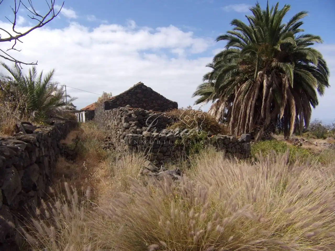 Vista exterior de Finca rústica en venta en Tijarafe