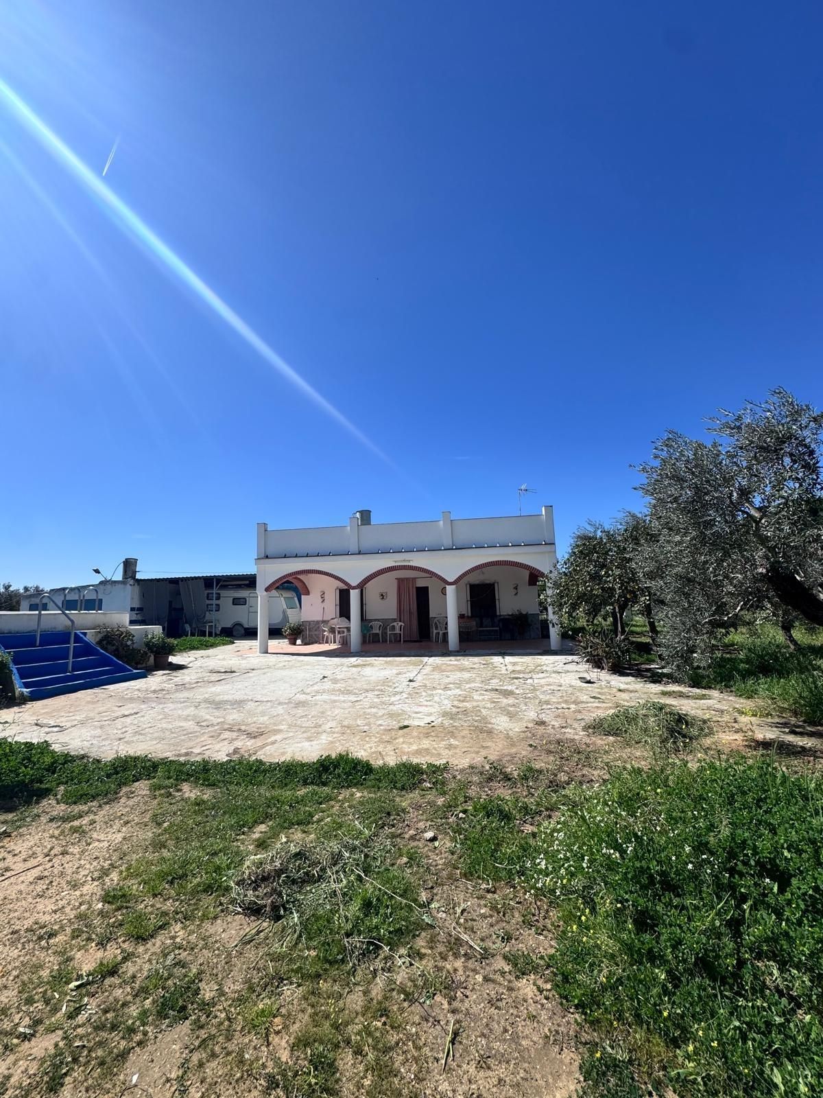 Exterior view of Houses for sale in Utrera