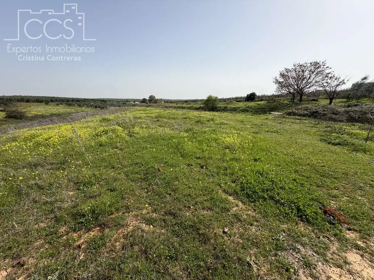 Country homes for sale in Pilas  with Swimming Pool